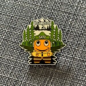 Amazon pin